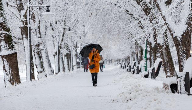 В Україні у понеділок переважно сніг, подекуди з дощем, вночі до 6° морозу