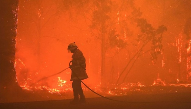 Пожежі в Австралії знищили понад 60 тисяч гектарів лісу