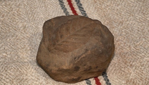 Музею Чигирина передали унікальний камінь з відбитком в’яза