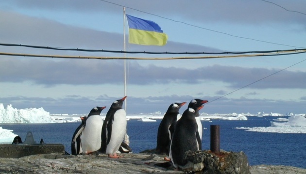 Los exploradores polares ucranianos publican fotos de pingüinos enamorados 