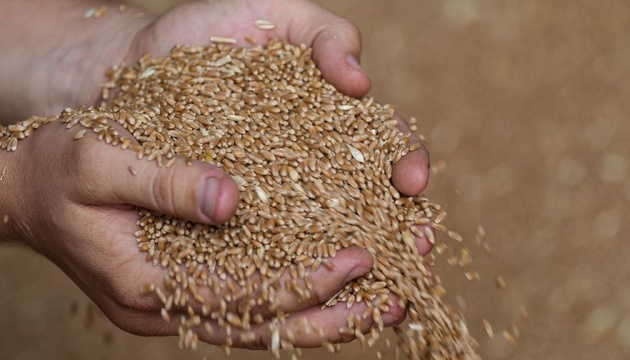 «Агро Арена» розпочинає кампанію із закупівлі зерна врожаю 2022 року