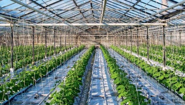 Аграріям виплатили ₴572,5 мільйона грантів на розвиток садівництва та тепличних господарств