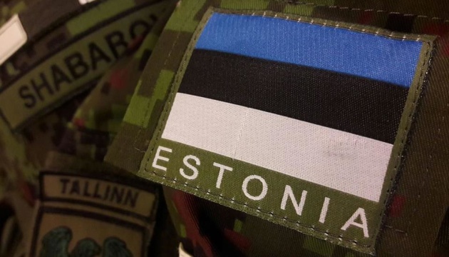 Эстония уже предоставила Украине военную помощь на €250 миллионов