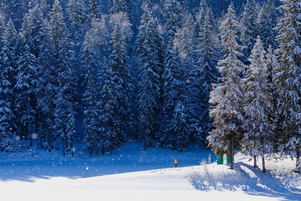 Заснеженное озеро Синевир / Фото: Сергей Гудак, Укринформ