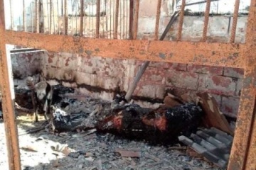 Ukraine : Les troupes russes ont détruit l’écurie de Hostomel, les chevaux ont été brûlés vifs 
