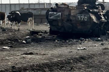 Minus 60 Einheiten feindlicher Ausrüstung: Invasoren aus einem Dorf in Region Charkiw vertrieben