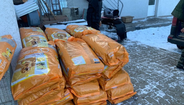 Волонтери з Румунії привезли у Чернівці 1,6 тонни корму для собак, яких покинули господарі