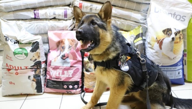 Собаки прикордонників отримали волонтерську допомогу з Польщі