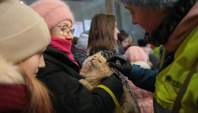 На Львівщині приватний сектор прийняв майже 100 тисяч вимушених переселенців