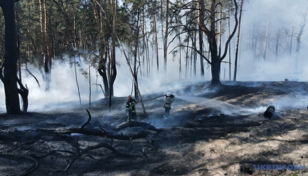Keine großen Waldbrände um Tschornobyl. Feuer gelöscht - Innenministerium 