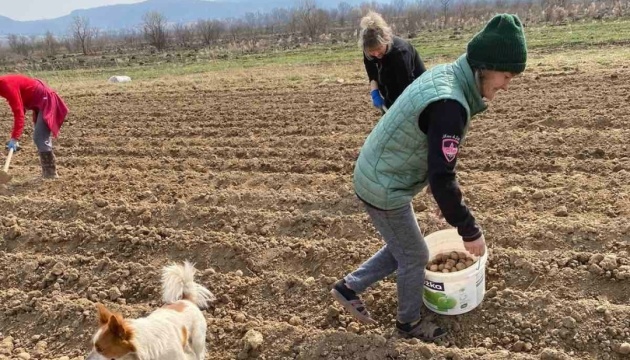 На Закарпатті вимушені переселенці разом з місцевою громадою висаджують картоплю
