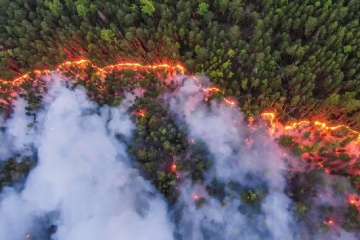 20 Prozent von Naturschutzgebieten und 3 Mio. Hektar Wald von Krieg betroffen – WWF Ukraine