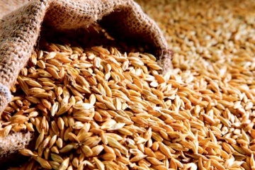 Ministerium für Agrarpolitik erwartet Verlängerung des Getreideabkommens