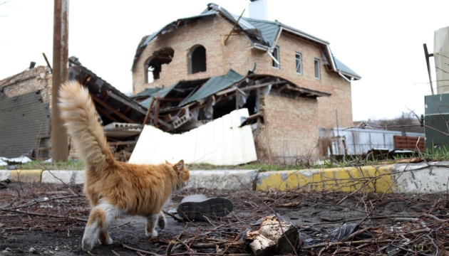 Майже 45 тисяч мешканців Київщини написали заявки в «Дію» на відшкодування знищеного майна