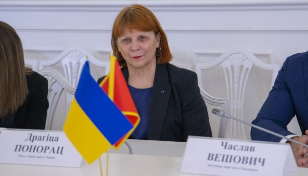 Посол Чорногорії в Україні пропонує відкрити спецрахунок «Книги для українських дітей»