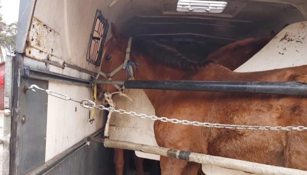 З-під Харкова евакуюють коней дитячо-юнацької спортивної школи