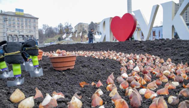 У центрі Києва розквітли 100 тисяч тюльпанів