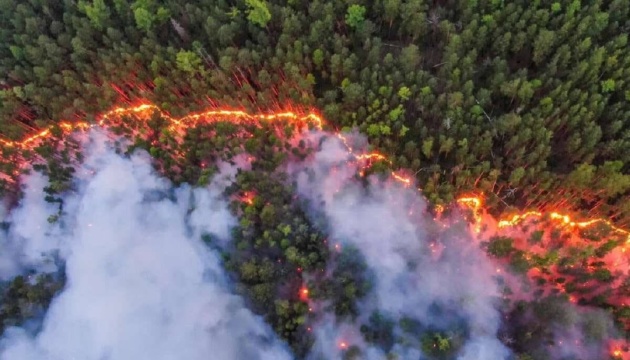 ЗМІ: росії нічим гасити лісові пожежі - всі літаки задіяні у вторгненні до України