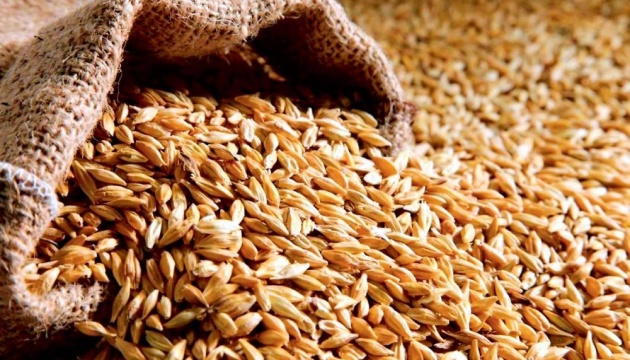 Украина может начать экспорт нового урожая пшеницы через разблокированные порты уже в августе