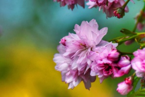 Синоптикиня розповіла, коли в Україні нарешті потеплішає