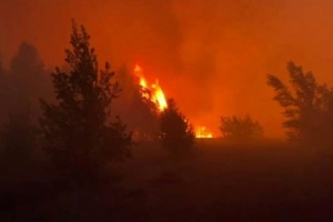 Лісову пожежу на Київщині локалізували