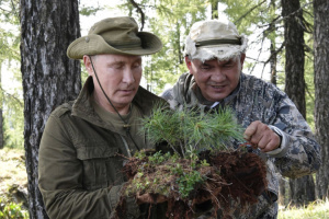 Шойгу стане лісорубом всєя Русі: дайджест російської пропаганди за 17 травня
