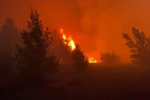 Лісові пожежі у Чорнобильській зоні не призвели до змін радіаційного фону