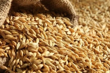 Russia exports at least 400,000 tonnes of grain from Ukraine – agriculture ministry