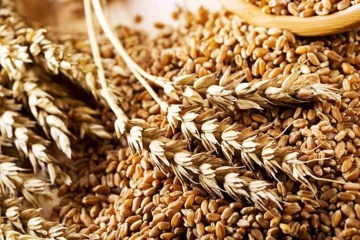 Ucrania exporta más de 1 millón de toneladas de cereales en mayo