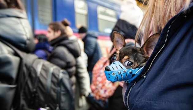 Поїздами Укрзалізниці евакуйовано понад 100 тисяч тварин