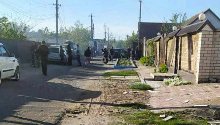 В Голой Пристани на Херсонщине от вражеского обстрела повреждены 35 домов