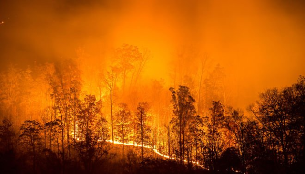 росія у вогні: лісові пожежі охопили 77 із 83 регіонів