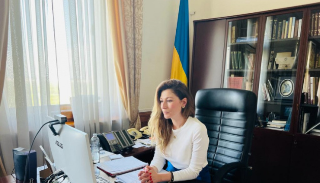 Джапарова провела видеовстречу с участниками Крымской платформы