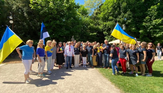 У Страсбурзі відбувся захід до Дня Європи на знак солідарності з Україною