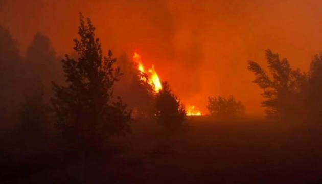 Лісову пожежу на Київщині локалізували