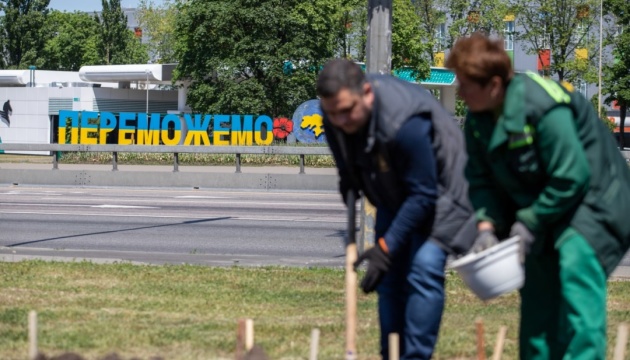 У Києві висадили чотири тисячі лілій із Харкова 