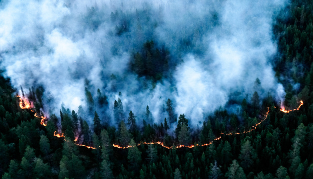 росія у вогні: палають понад 50 тисяч гектарів лісу