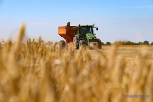 Ukraine’s projected wheat harvest significantly exceeds domestic market needs – Vysotskyi