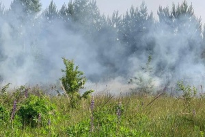 Two Russian helicopters fire on border areas of Sumy region
