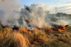 Обстріли на Миколаївщині: вигоріли 10 гектарів пшениці, пошкоджене зерносховище