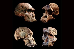Предки человека из пещер в ЮАР жили на миллион лет раньше, чем считалось - CNN
