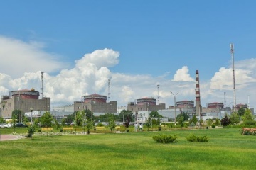 La central nuclear de Zaporiyia y el OIEA han restablecido el contacto