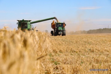 Na Ukrainie wymłócono już 6,5 mln ton zboża - Ministerstwo Polityki Agrarnej