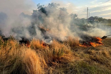 Russia’s shelling of Mykolaiv Region: Grain storage damaged, wheat plantations destroyed in fire