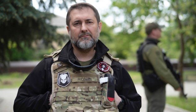 Гайдай: После освобождения отстроим все города Луганской области