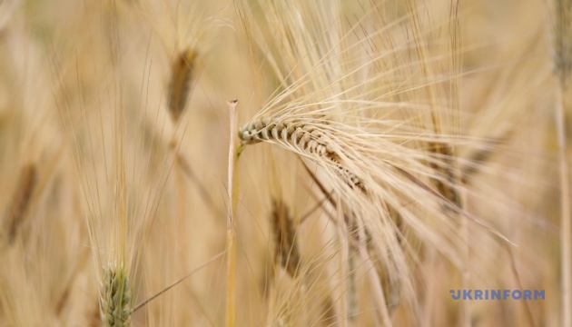 Grain exports from Ukrainian ports must be ensured by military component - official