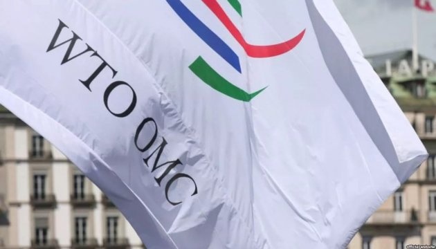 WTO members express solidarity with Ukraine, vow assistance