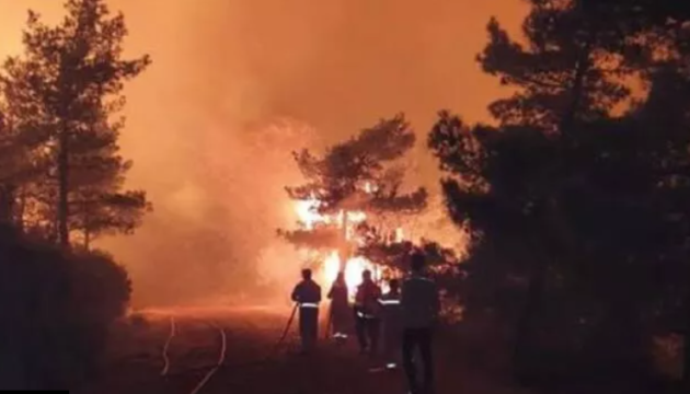 Лісова пожежа в Туреччині: боротьбу з вогнем ведуть 20 вертольотів і 14 літаків