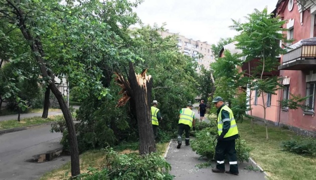 У Києві після негоди впали 20 дерев