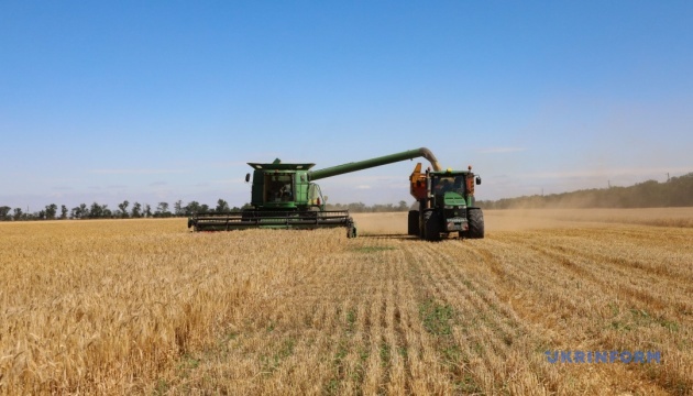 La demanda mundial de trigo ucraniano aumenta y el mercado interno se vuelve más activo